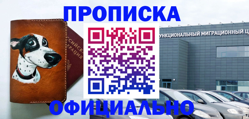 временная прописка в Ермолино